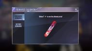 The surfboard